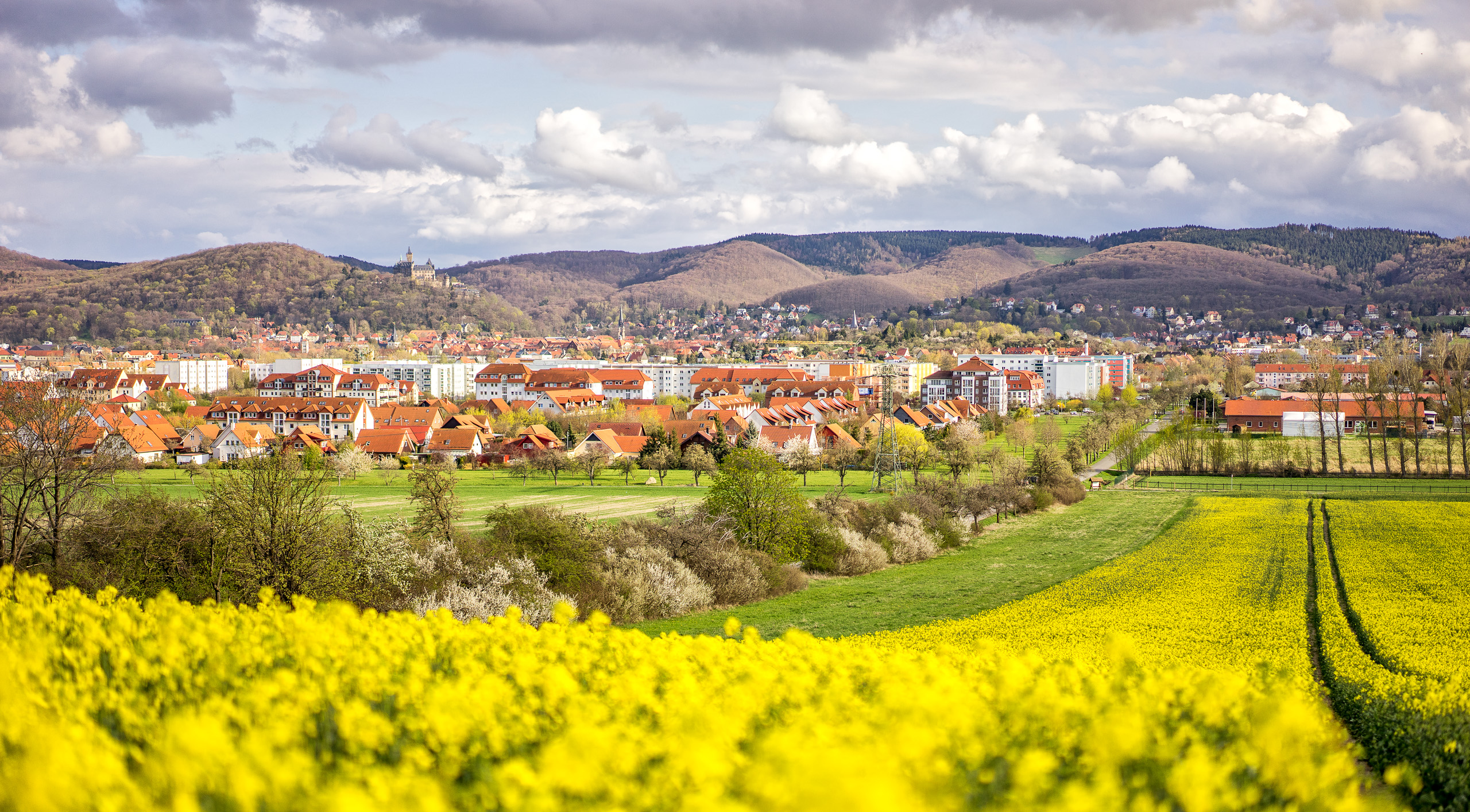 Frühlingslandschaft mit blühenden Rapsfeldern und Stadtansicht.